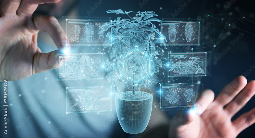 Leinwandbilder man holding and touching holographic projection of a plant with digital analysis 3d rendering