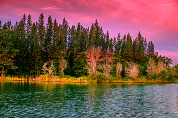Wallpaper blurred nature of the twilight light in the evening by the large water basin surrounded by big trees, the integrity of the forest