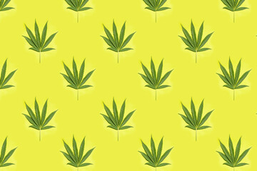 Cannabis leaves on a green background isolated seamless pattern