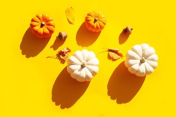 Small decorative pumpkins and autumn leaves on a yellow background. Contrasting shadows trend