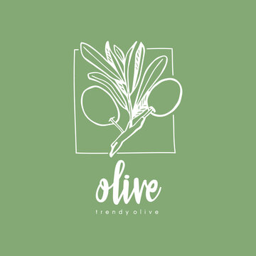 Olive oil logo template. Black and green olives emblem drawing with branches and leafs. Isolated vector illustration.