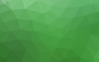 Light Green vector polygonal pattern. A sample with polygonal shapes. Completely new design for your business.