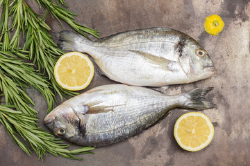 Raw fish with lemon and rosemary sprigs.