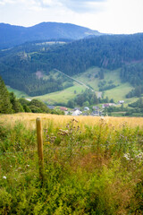 Mountains, valleys and trees in the Black Forest of Germany near Feldberg.