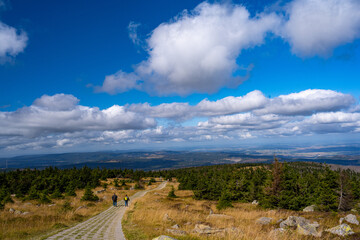 on the mountain bike on the brocken