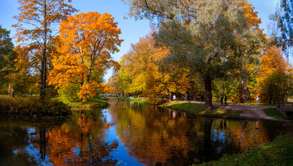 Autumn landscape, view of the lake in the old Park. Tsarskoe Selo, Saint Petersburg.