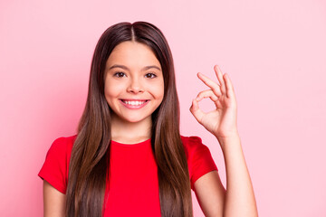 Photo of sweet cute lovely small lady long hairstyle raise hand demonstrate fingers circle show okey approval toothy beaming smile wear casual red t-shirt isolated pink color background