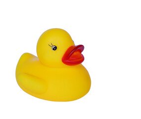 yellow plastic duck, children's toy