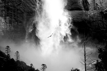 Aerial shot of Yosemite Falls, Yosemite National Park in California