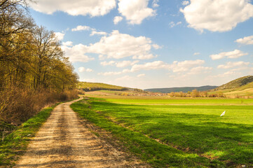 road in the countryside