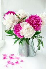 Bouquet of beautiful peonies on the windowsill. Pink and white peonies in a tin jug. Flying pink petals. Soft focus