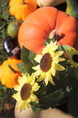 decorative sunflowers on the background of the harvest top view. bright autumn day