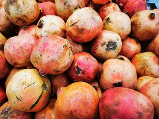 Group of pomegranate fruit