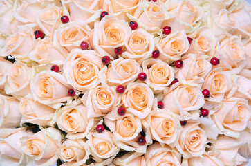 close-up of Cream pastel rose with red berries