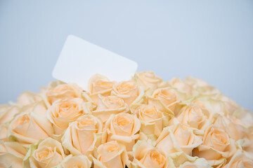 Cream pastel rose with a card 