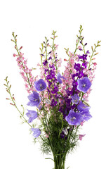 bouquet of meadow flowers isolated