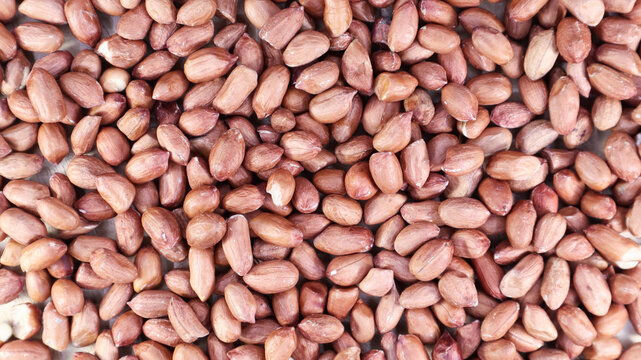 Heap of raw peanuts. Cultivated peanuts, underground or groundnuts. Plant of the legume family. Agricultural crop on an industrial scale. South America is considered the birthplace of peanuts.