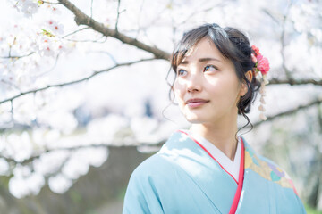 着物の女性　和服　京都観光