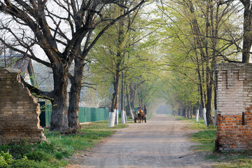 ruins of an old brick building. Historical and cultural heritage of Belarus. City Khoiniki Gomel region Borisovschanskaya manor