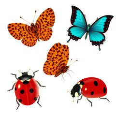 Insects set of butterflies and ladybugs. © gossip7