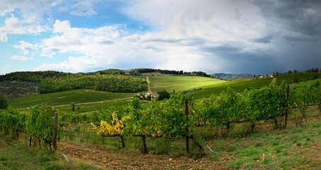 Fototapeta na wymiar Vineyards landscape in Italy in the Chianti Classico Area region near Florence, Tuscany. Autumn season, Italy.