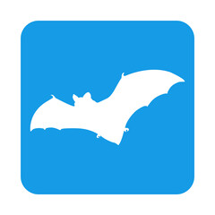 Noche de Halloween. Silueta de murciélago volando en cuadrado color azul