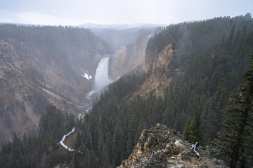 Obraz premium lower falls of the yellowstone national park in grand canyon in winter, wyoming, usa