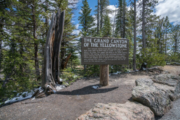 grand canyon of the yellowston from the north rim, wyoming, usa
