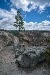 grand canyon of the yellowston from the north rim, wyoming, usa