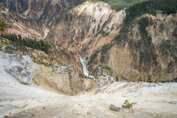 grand canyon of the yellowston from the north rim, wyoming, usa