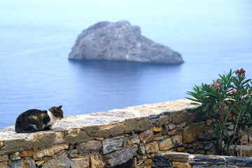 koty u stóp monastyru Hozoviotissa na wyspie Amorgos © Przemek