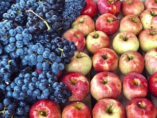 red apples and purple grapes harvest
