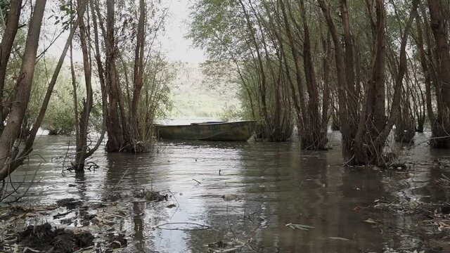 River And Old Metal Rowing Fishing Boat ancored between trees. High water.