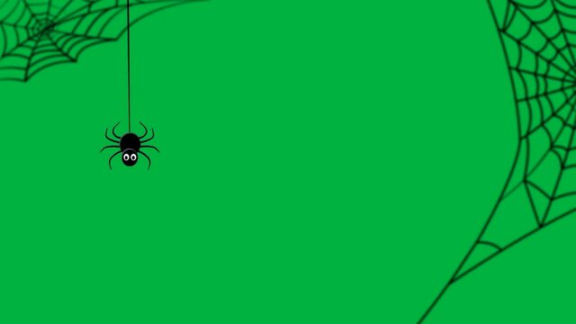 Spider and web for green screen, animated silhouette, seamless loop