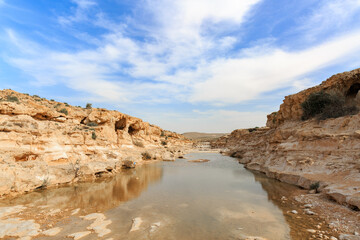 Fototapeta na wymiar Creek in Negev desert