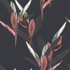 Fotobehang Foliage seamless pattern, heliconia Ctenanthe oppenheimiana plant on dark grey © momosama