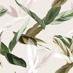 Rolgordijnen Foliage seamless pattern, heliconia Ctenanthe oppenheimiana plant in green and brown tones on bright brown © momosama