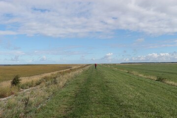 Fototapeta premium Vast landscape by the North Sea. In Spieka-Neufeld near Cuxhaven, Germany, Europe.