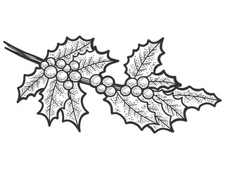 Sprig of holly. Sketch scratch board imitation. Black and white.