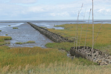 Wide landscape by the North Sea. In Spieka-Neufeld near Cuxhaven, Germany, Europe.