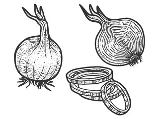 Set, onion in three types. Sketch scratch board imitation. Black and white.
