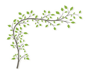 Tree branches in the form of an arch with green leaves and a shadow on a white background