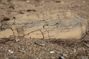 cracked wet rock