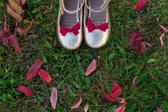 Beautiful Baby Silver Shoes Stand On The Ground With Autumn Leaves. Red Leaves Lie On Green Grass. Shoes With Red Bows. View From Above. Flat Layout