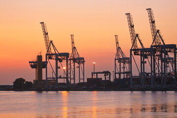 cranes in the port at dawn