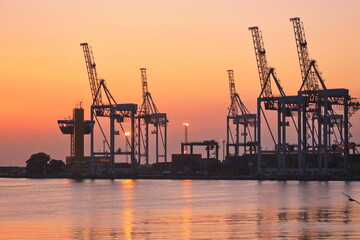 Fototapeta na wymiar cranes in the port at dawn