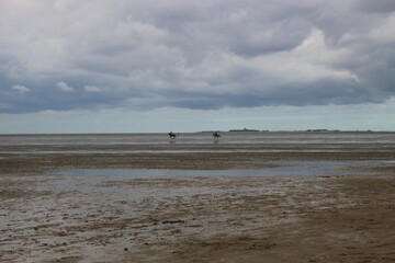 The North Sea during low tide in Cuxhaven-Salenburg. Horse riders on the mud flats. North Germany, Europe.