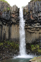 Svartifoss Waterfall close to Skaftafell in Vatnajökull National Park in South Iceland