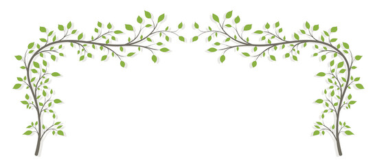 Two tree branches in the shape of an arch with green leaves and a shadow on a white background