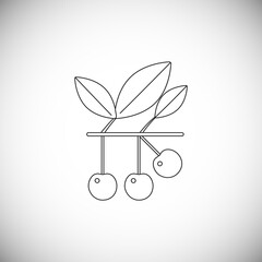 Simple line icon cherry on stalk. Macro element fresh and healfy nature berry.